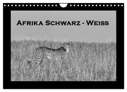 Afrika Schwarz – Weiss (Wandkalender 2024 DIN A4 quer), CALVENDO Monatskalender von Stern,  Angelika