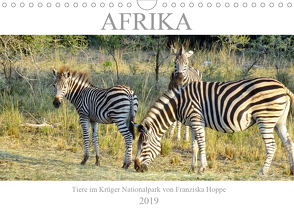 Afrika – Tiere im Krüger Nationalpark (Wandkalender 2019 DIN A4 quer) von Hoppe,  Franziska