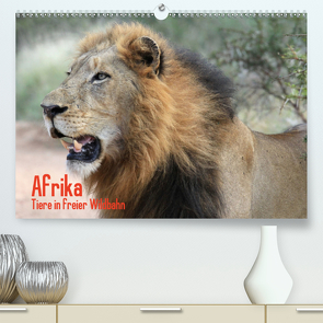 Afrika. Tiere in freier Wildbahn (Premium, hochwertiger DIN A2 Wandkalender 2021, Kunstdruck in Hochglanz) von Stanzer,  Elisabeth