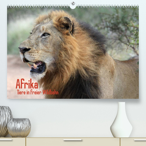 Afrika. Tiere in freier Wildbahn (Premium, hochwertiger DIN A2 Wandkalender 2022, Kunstdruck in Hochglanz) von Stanzer,  Elisabeth