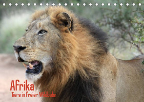 Afrika. Tiere in freier Wildbahn (Tischkalender 2022 DIN A5 quer) von Stanzer,  Elisabeth
