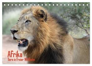 Afrika. Tiere in freier Wildbahn (Tischkalender 2024 DIN A5 quer), CALVENDO Monatskalender von Stanzer,  Elisabeth