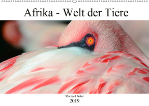 Afrika – Welt der Tiere (Wandkalender 2019 DIN A2 quer) von Jaster,  Michael
