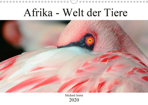 Afrika – Welt der Tiere (Wandkalender 2020 DIN A3 quer) von Jaster,  Michael