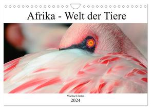 Afrika – Welt der Tiere (Wandkalender 2024 DIN A4 quer), CALVENDO Monatskalender von Jaster,  Michael