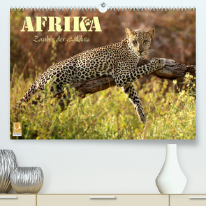 Afrika – Zauber der Wildnis (Premium, hochwertiger DIN A2 Wandkalender 2022, Kunstdruck in Hochglanz) von Stamm,  Dirk