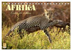 Afrika – Zauber der Wildnis (Tischkalender 2024 DIN A5 quer), CALVENDO Monatskalender von Stamm,  Dirk