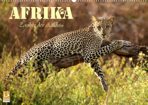 Afrika – Zauber der Wildnis (Wandkalender 2023 DIN A2 quer) von Stamm,  Dirk