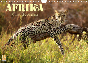 Afrika – Zauber der Wildnis (Wandkalender 2023 DIN A4 quer) von Stamm,  Dirk