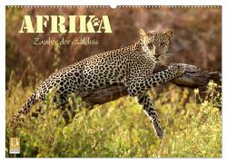 Afrika – Zauber der Wildnis (Wandkalender 2024 DIN A2 quer), CALVENDO Monatskalender von Stamm,  Dirk