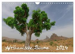 Afrikanische Bäume (Wandkalender 2024 DIN A4 quer), CALVENDO Monatskalender von Wolf,  Gerald