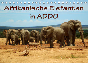 Afrikanische Elefanten in ADDO (Tischkalender 2023 DIN A5 quer) von van Wyk,  Anke