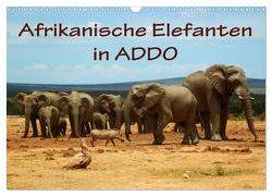 Afrikanische Elefanten in ADDO (Wandkalender 2024 DIN A3 quer), CALVENDO Monatskalender von van Wyk,  Anke