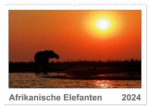 Afrikanische Elefanten (Wandkalender 2024 DIN A2 quer), CALVENDO Monatskalender von Wolf,  Gerald