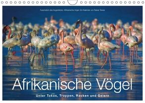 Afrikanische Vögel (Wandkalender 2018 DIN A4 quer) von Tewes,  Rainer