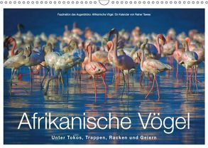 Afrikanische Vögel (Wandkalender 2019 DIN A3 quer) von Tewes,  Rainer