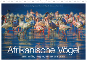 Afrikanische Vögel (Wandkalender 2020 DIN A4 quer) von Tewes,  Rainer