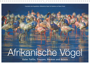 Afrikanische Vögel (Wandkalender 2022 DIN A3 quer) von Tewes,  Rainer