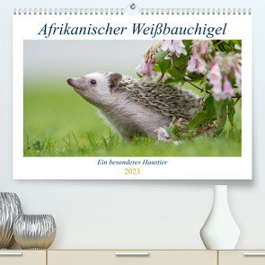 Afrikanische Weißbauchigel (Premium, hochwertiger DIN A2 Wandkalender 2023, Kunstdruck in Hochglanz) von und Marina Zimmermann Fotografie GbR,  Andreas