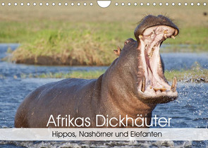 Afrikas Dickhäuter. Hippos, Nashörner und Elefanten (Wandkalender 2022 DIN A4 quer) von Stanzer,  Elisabeth