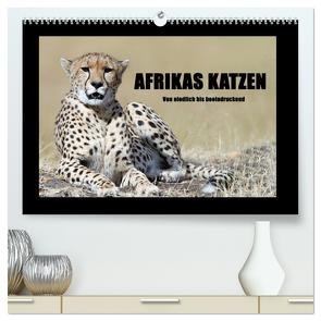 Afrikas Katzen (hochwertiger Premium Wandkalender 2024 DIN A2 quer), Kunstdruck in Hochglanz von Stern,  Angelika
