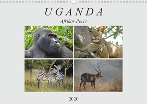 Afrikas Perle Uganda (Wandkalender 2020 DIN A3 quer) von Flori0