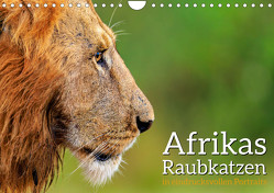 Afrikas Raubkatzen in eindrucksvollen Portraits (Wandkalender 2023 DIN A4 quer) von Gerd-Uwe Neukamp,  Dr.