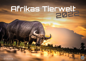 Afrikas Tierwelt – Der Tierkalender – 2022 – Kalender DIN A3