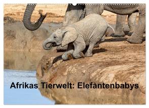 Afrikas Tierwelt: Elefantenbabys (Wandkalender 2024 DIN A2 quer), CALVENDO Monatskalender von Voss,  Michael