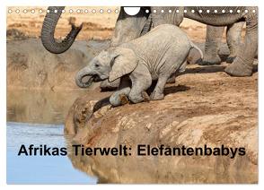 Afrikas Tierwelt: Elefantenbabys (Wandkalender 2024 DIN A4 quer), CALVENDO Monatskalender von Voss,  Michael