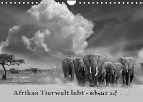 Afrikas Tierwelt lebt – schwarz auf weiß (Wandkalender 2023 DIN A4 quer) von Schmidbauer,  Heinz, Schmidbauer,  Renate