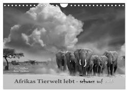 Afrikas Tierwelt lebt – schwarz auf weiß (Wandkalender 2024 DIN A4 quer), CALVENDO Monatskalender von Schmidbauer,  Renate Schmidbauer,  Heinz