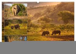 Afrikas Tierwelt: Nashörner (Wandkalender 2024 DIN A2 quer), CALVENDO Monatskalender von Voß & Doris Jachalke,  Michael