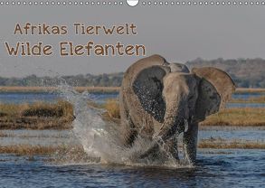 Afrikas Tierwelt – Wilde Elefanten (Wandkalender 2019 DIN A3 quer) von Voss,  Michael