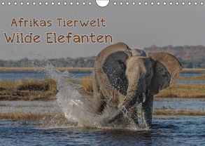 Afrikas Tierwelt – Wilde Elefanten (Wandkalender 2019 DIN A4 quer) von Voss,  Michael