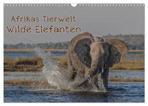 Afrikas Tierwelt – Wilde Elefanten (Wandkalender 2024 DIN A3 quer), CALVENDO Monatskalender von Voss,  Michael