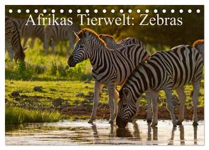 Afrikas Tierwelt: Zebras (Tischkalender 2024 DIN A5 quer), CALVENDO Monatskalender von Voss,  Michael