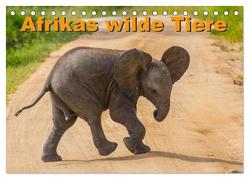 Afrikas wilde Tiere (Tischkalender 2024 DIN A5 quer), CALVENDO Monatskalender von Struckmann /FSTWildlife,  Frank