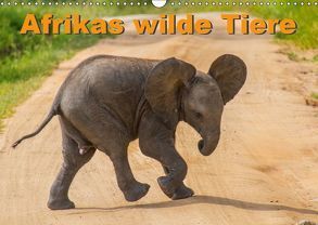 Afrikas wilde Tiere (Wandkalender 2019 DIN A3 quer) von Struckmann /FSTWildlife,  Frank