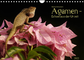 Agamen – Echsen aus der Urzeit (Wandkalender 2022 DIN A4 quer) von Schumann,  Bianca