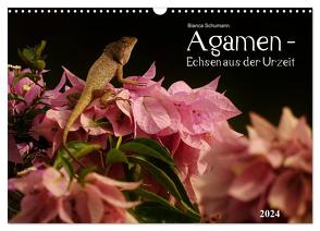 Agamen – Echsen aus der Urzeit (Wandkalender 2024 DIN A3 quer), CALVENDO Monatskalender von Schumann,  Bianca