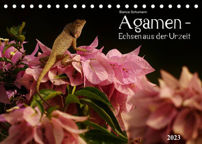Agamen – Echsen aus der UrzeitCH-Version (Tischkalender 2023 DIN A5 quer) von Schumann,  Bianca