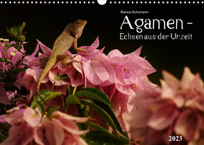 Agamen – Echsen aus der UrzeitCH-Version (Wandkalender 2023 DIN A3 quer) von Schumann,  Bianca