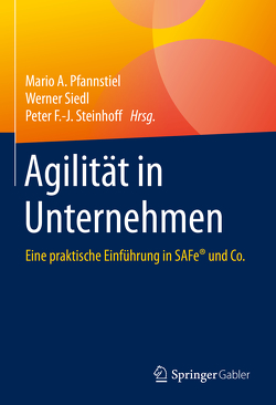Agilität in Unternehmen von Pfannstiel,  Mario A., Siedl,  Werner, Steinhoff,  Peter F.-J.