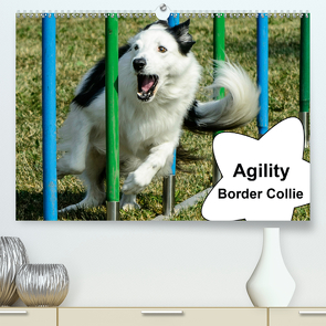 Agility Border Collie (Premium, hochwertiger DIN A2 Wandkalender 2021, Kunstdruck in Hochglanz) von homwico