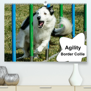 Agility Border Collie (Premium, hochwertiger DIN A2 Wandkalender 2020, Kunstdruck in Hochglanz) von homwico