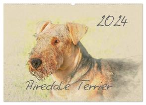 Airedale Terrier 2024 (Wandkalender 2024 DIN A2 quer), CALVENDO Monatskalender von Redecker,  Andrea