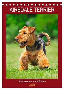 Airedale Terrier – Temperament auf 4 Pfoten (Tischkalender 2024 DIN A5 hoch), CALVENDO Monatskalender von Starick,  Sigrid