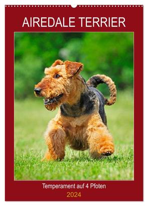 Airedale Terrier – Temperament auf 4 Pfoten (Wandkalender 2024 DIN A2 hoch), CALVENDO Monatskalender von Starick,  Sigrid