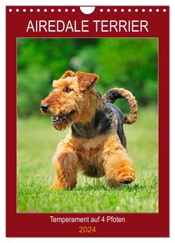 Airedale Terrier – Temperament auf 4 Pfoten (Wandkalender 2024 DIN A4 hoch), CALVENDO Monatskalender von Starick,  Sigrid
